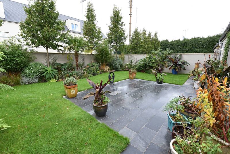 Mature planting