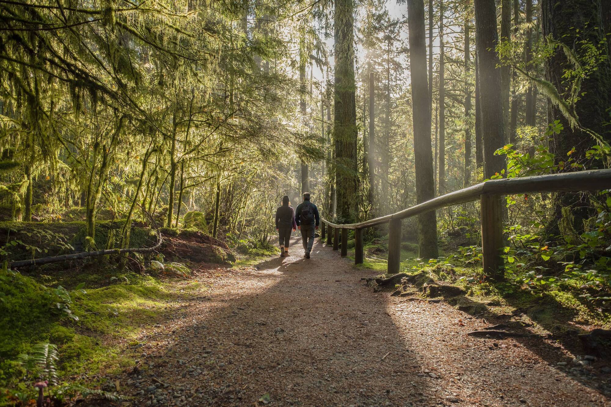 Lack of interest in planting putting forestry targets in jeopardy