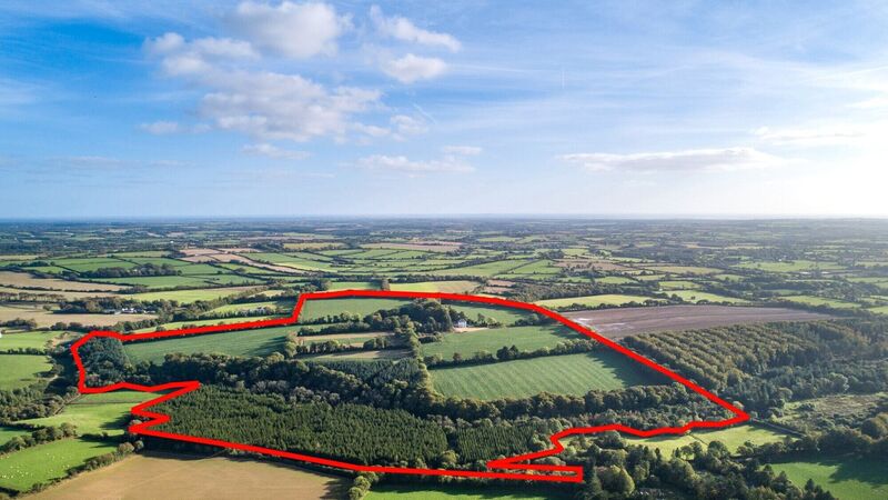81-acre farm with Georgian house fetches €1.6m+ at auction 81-acre farm with Georgian house fetches €1.6m+ at auction