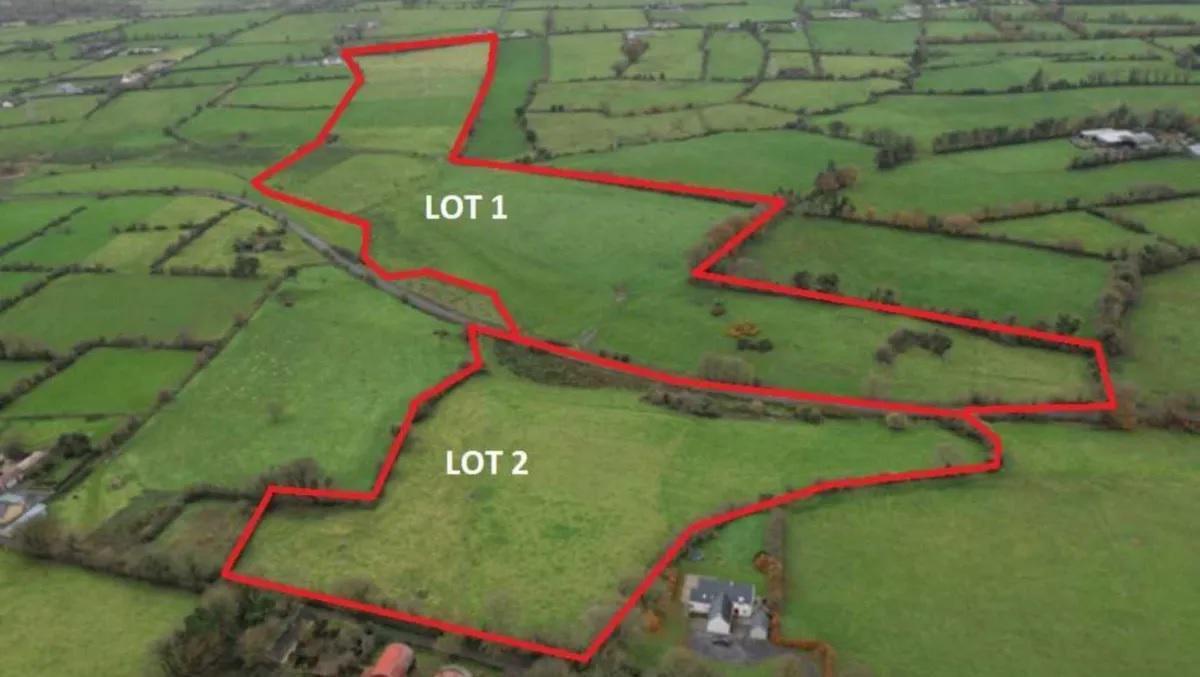 The 42-acre farm consists of permanent pasture in the heart of the Golden Vale.