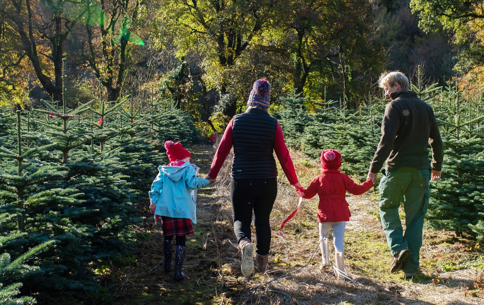 Home: Celebrate the festive season the sustainable way  