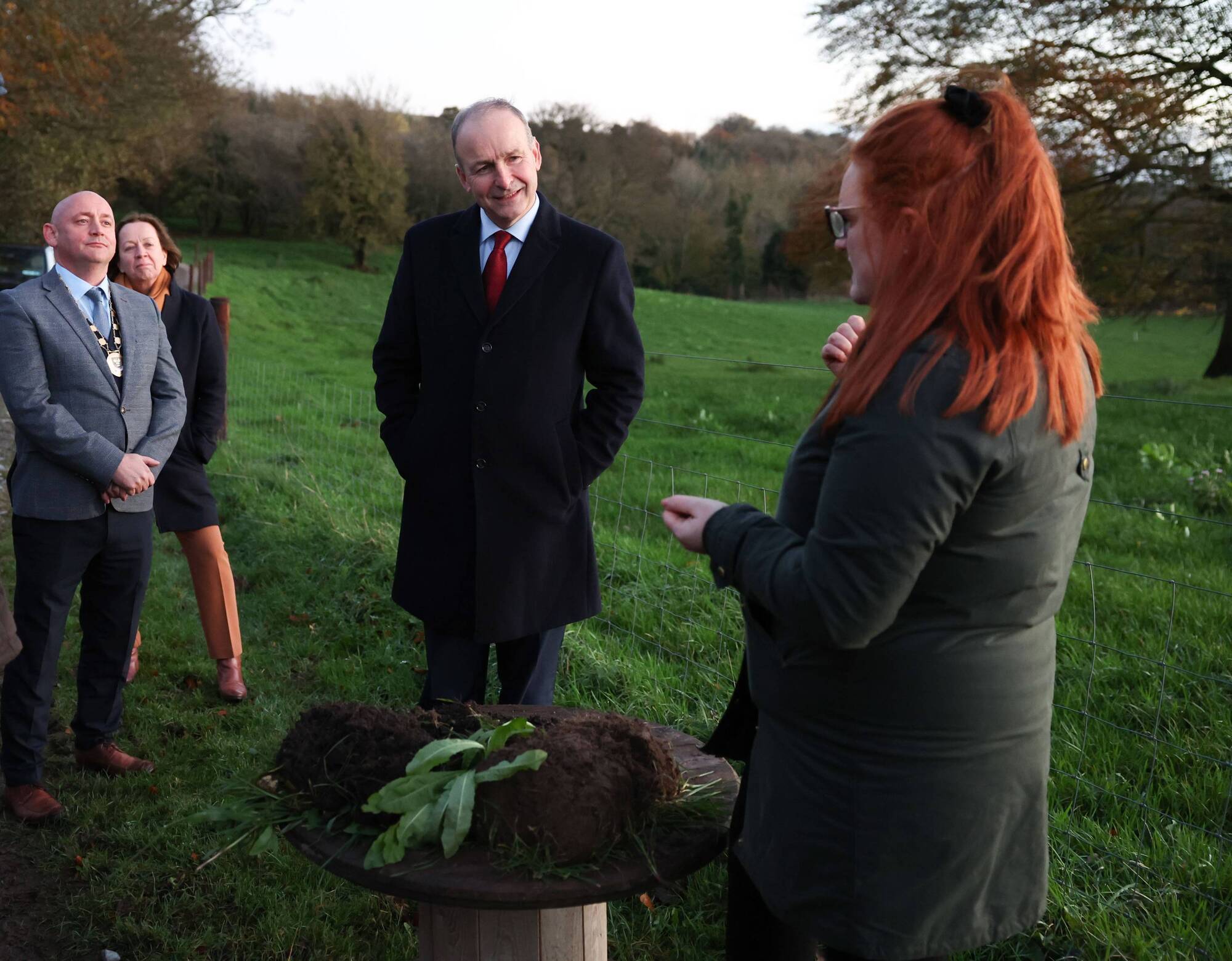 Carbon-neutral farming at Dowth