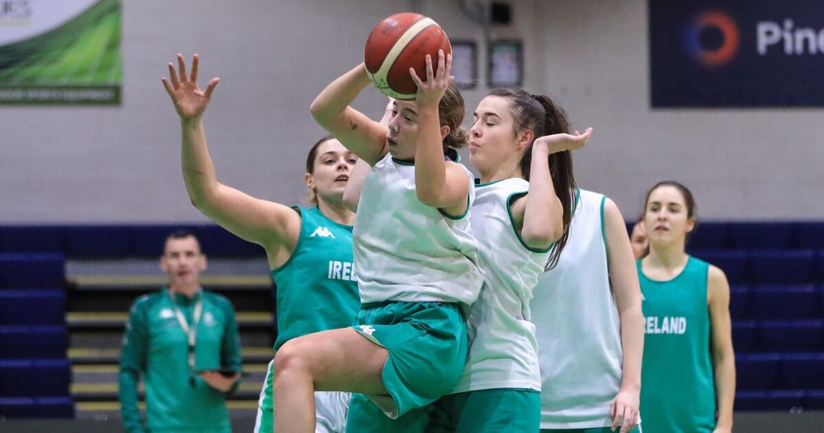 Boston's Herlihy proud to represent Ireland