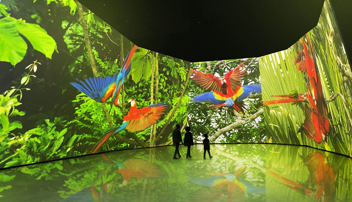CGI impression of the inside of the BBC Earth Experience, which will show footage from Seven Worlds, One Planet projected on multi-angle screens. Picture: BBC Earth Experience/PA Wire