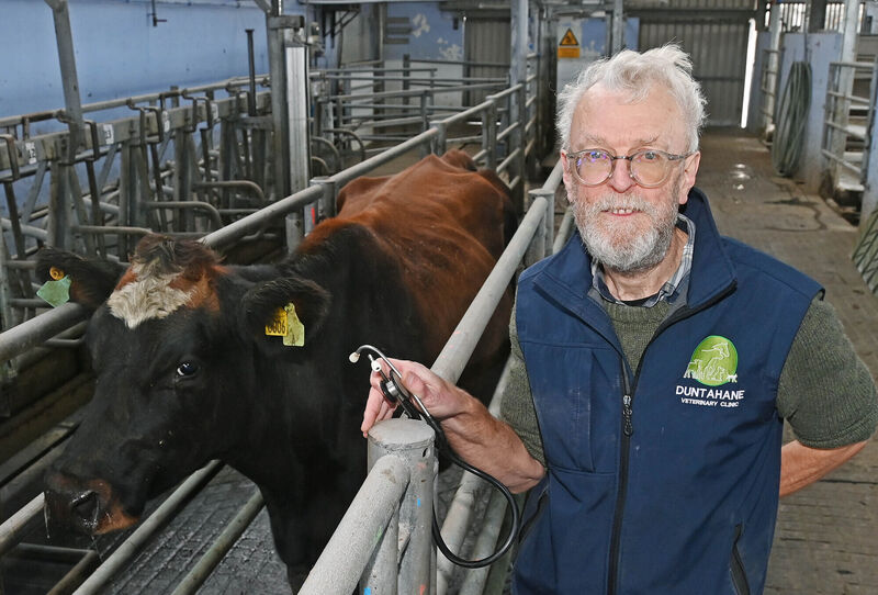 Fermoy vet Ian Fleming told the Irish Examiner Ireland ideally should have three vet schools, with one to be located in Munster. Picture: Denis Minihane