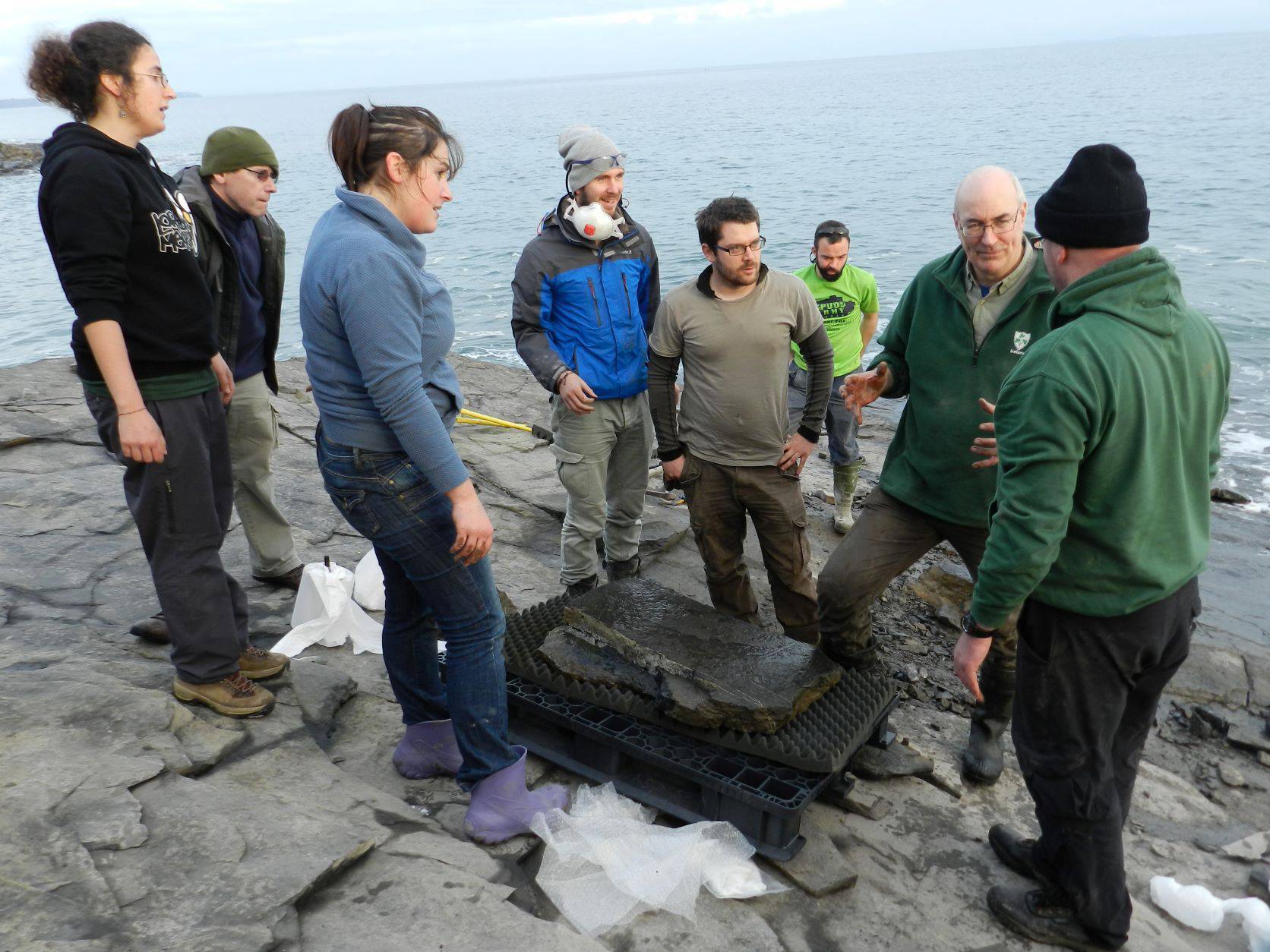 Scientists recover 'one of the most striking fossil finds in the last century' from Hook Head