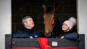 <p>WRAPPED UP: Trainer Gordon Elliott and groom Rachel Egan with Galvin ahead of the Leopardstown Christmas Festival. Picture: INPHO/Morgan Treacy</p>