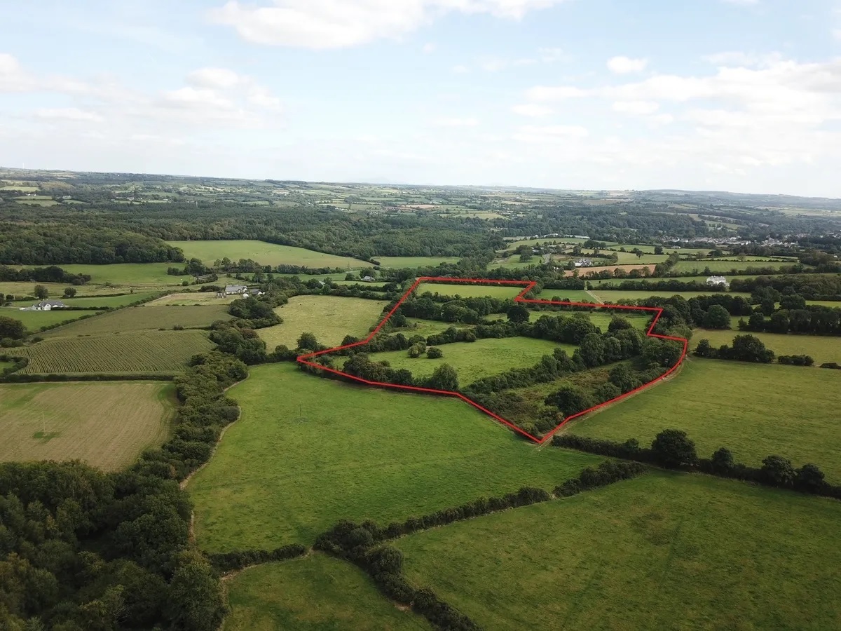 23-acre farm near Castlecomer drawing farmers and non-farmers