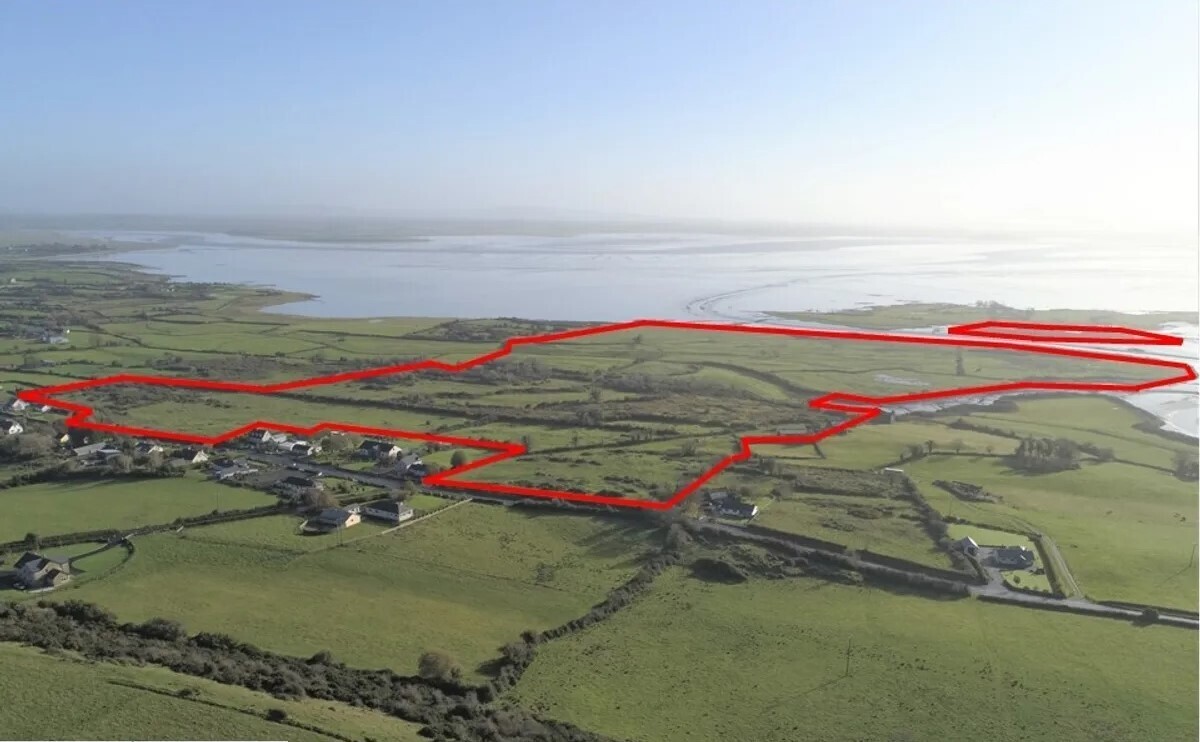 116-acre farm on Shannon Estuary likely to fetch around €8k/acre