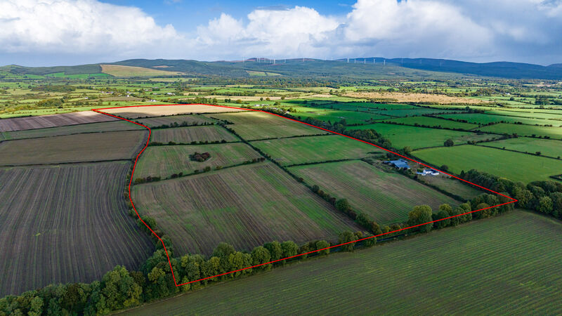 121-acre farm near Buttevant fetches over €21k/acre at auction
