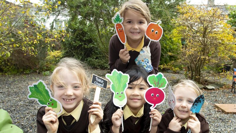 Menu: food for all - from learning to grow, to Christmas dinners for all