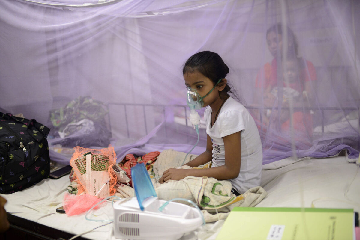 A child receiving treatment for dengue at a hospital in Dhaka, Bangladesh. Global warming may increase the prevalence of such diseases in temperate zones such as Europe. Picture: Mahmud Hossain Opu/AP A child receiving treatment for dengue at a hospital in Dhaka, Bangladesh. Global warming may increase the prevalence of such diseases in temperate zones such as Europe. Picture: Mahmud Hossain Opu/AP