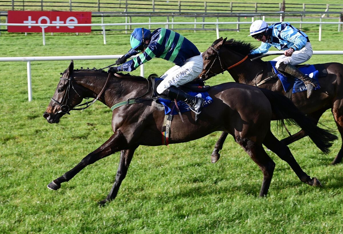 Gaoth Chuil and Denis O'Regan (hoops) win the Tramore Mares Maiden Hurdle. Picture: Healy Racing