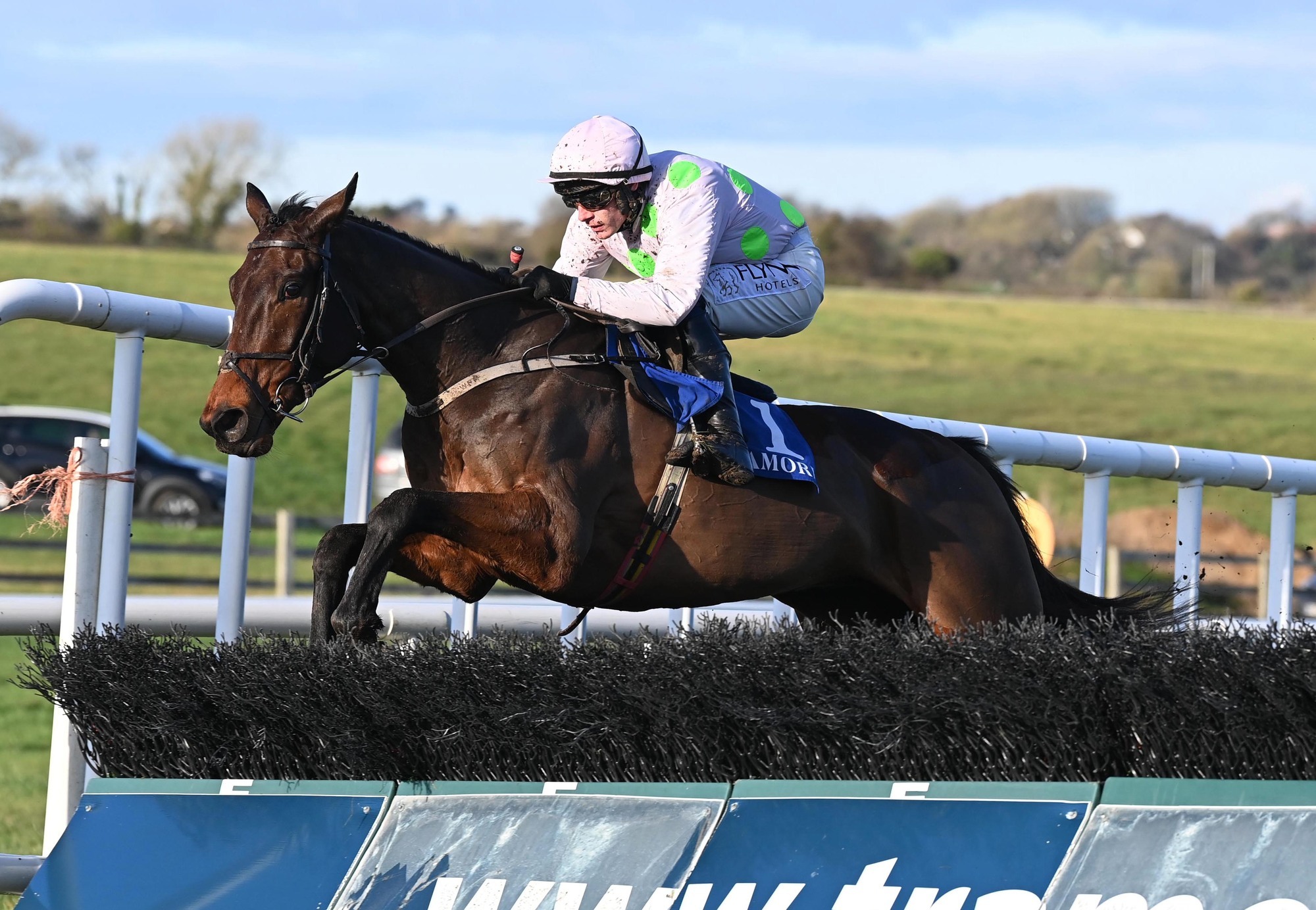 Tramore report: Gaelic Warrior shows star quality
