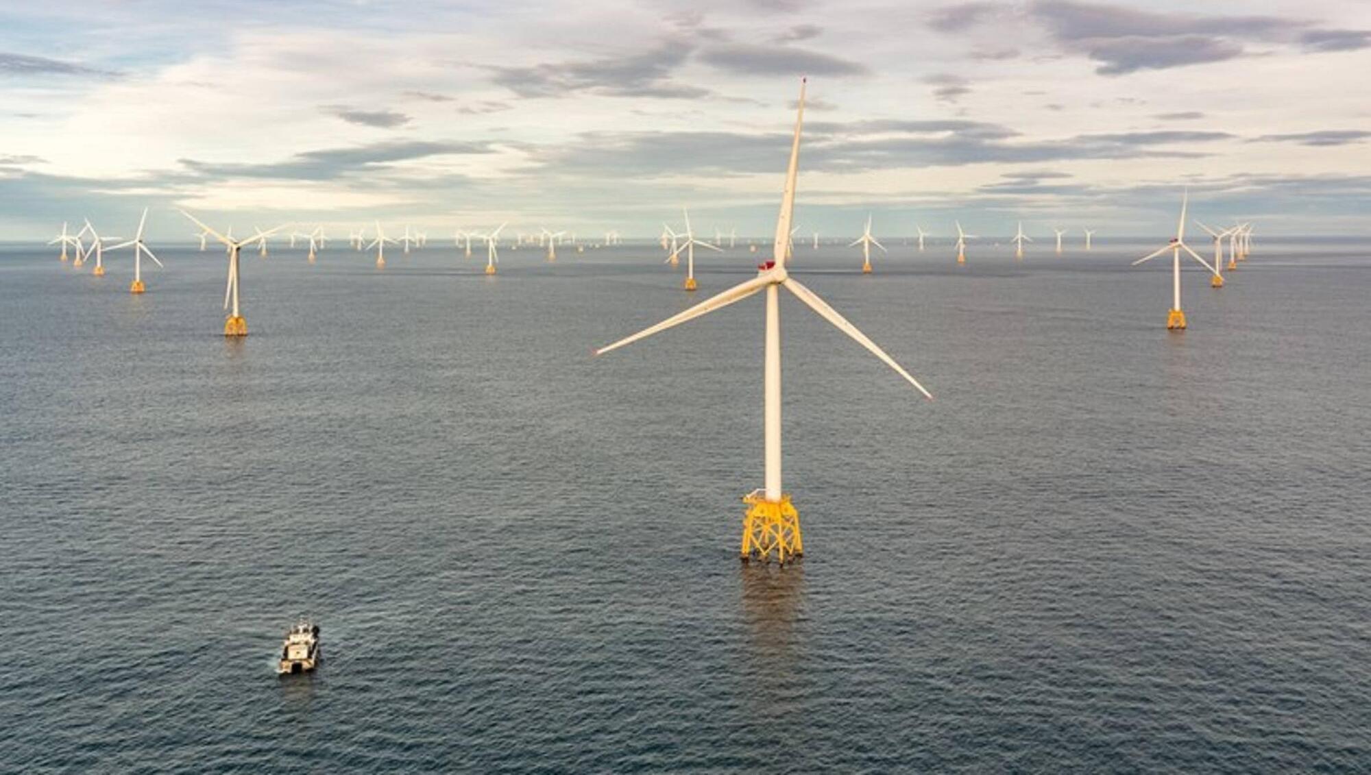 Energy created by renewables to overtake coal as largest source of electricity
