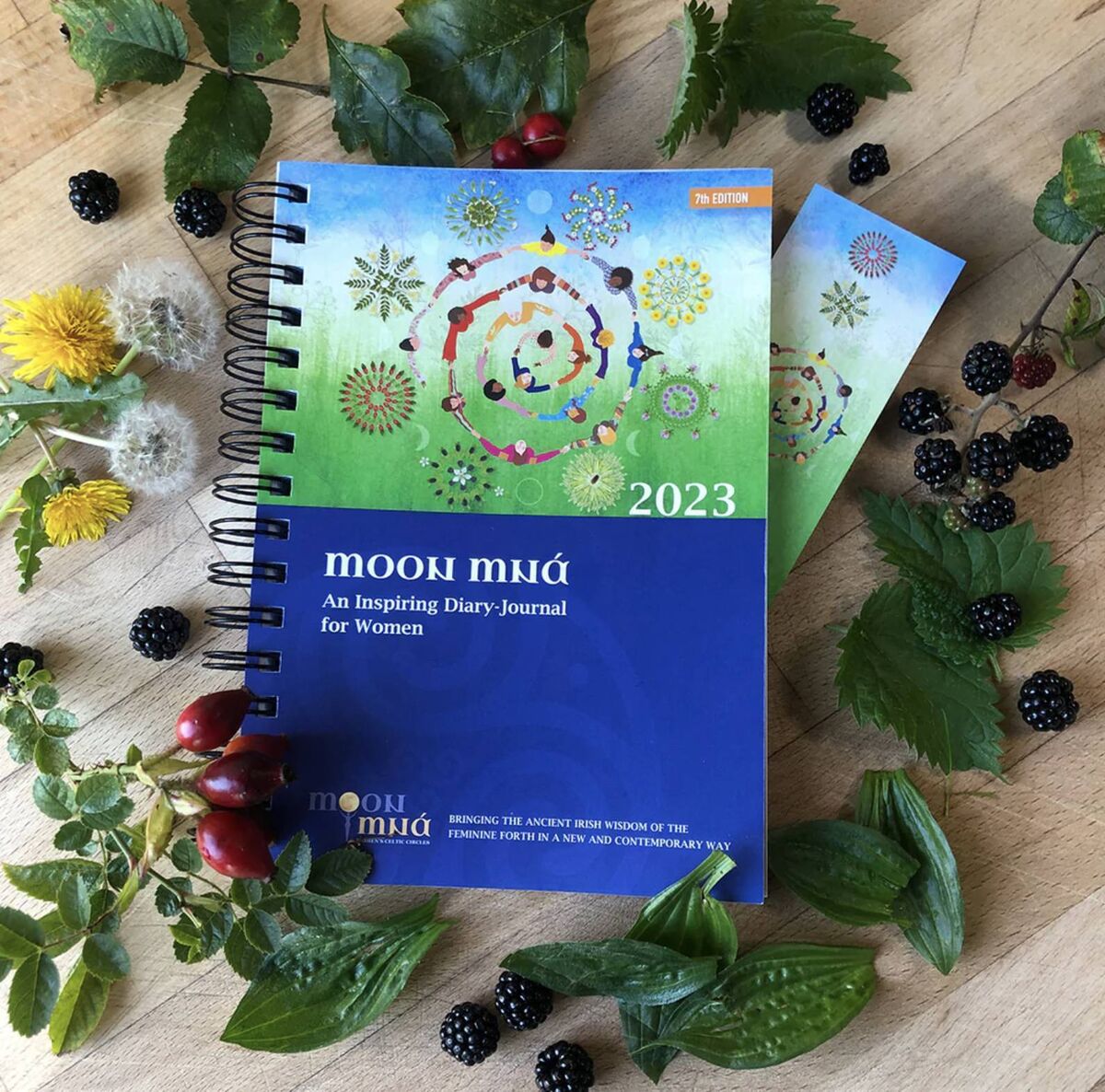 Moon Mná Diary-Journal, €20 @ moonmna.ie