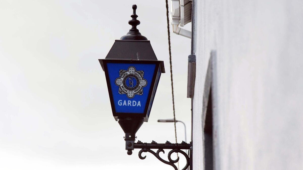 Calls for calm after Cork home petrol-bombed - Vimarsana News