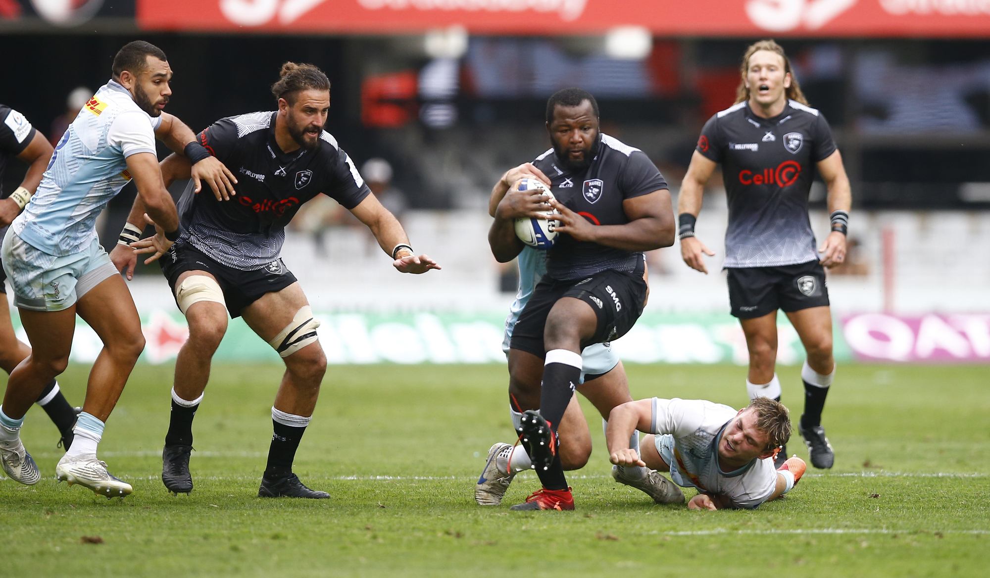 Harlequins lose Champions Cup opener as Sharks bite in Durban