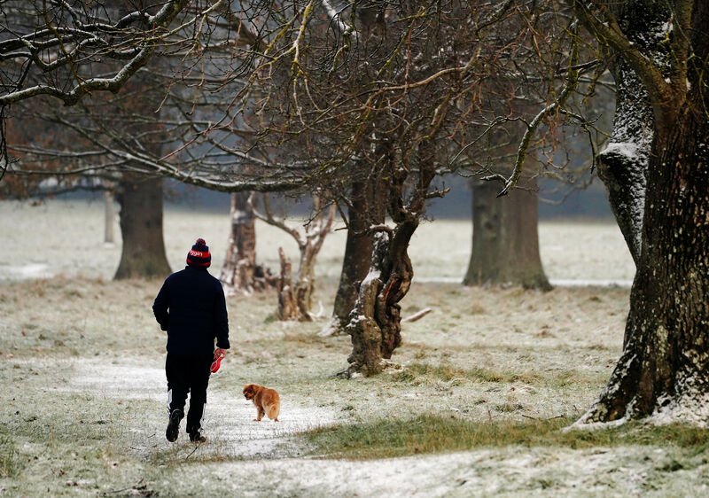 A man walks his dog among the snow and ice in Dublin's Phoenix park. Parts of Ireland have been blanketed in snow with forecasters warning that freezing conditions are set to continue.