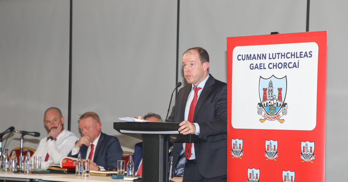 'Absolute disgrace' Cork county board executive criticised for not