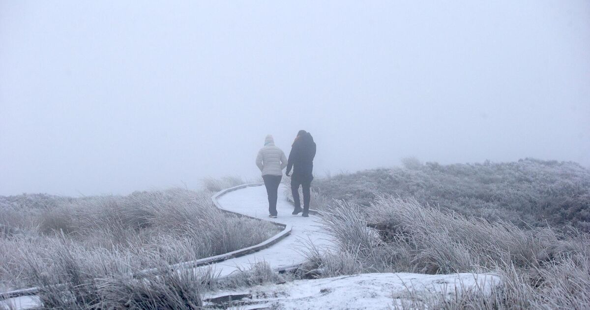 Kate Walsh, 55, looks sensational as she flaunts her figure in a skimpy