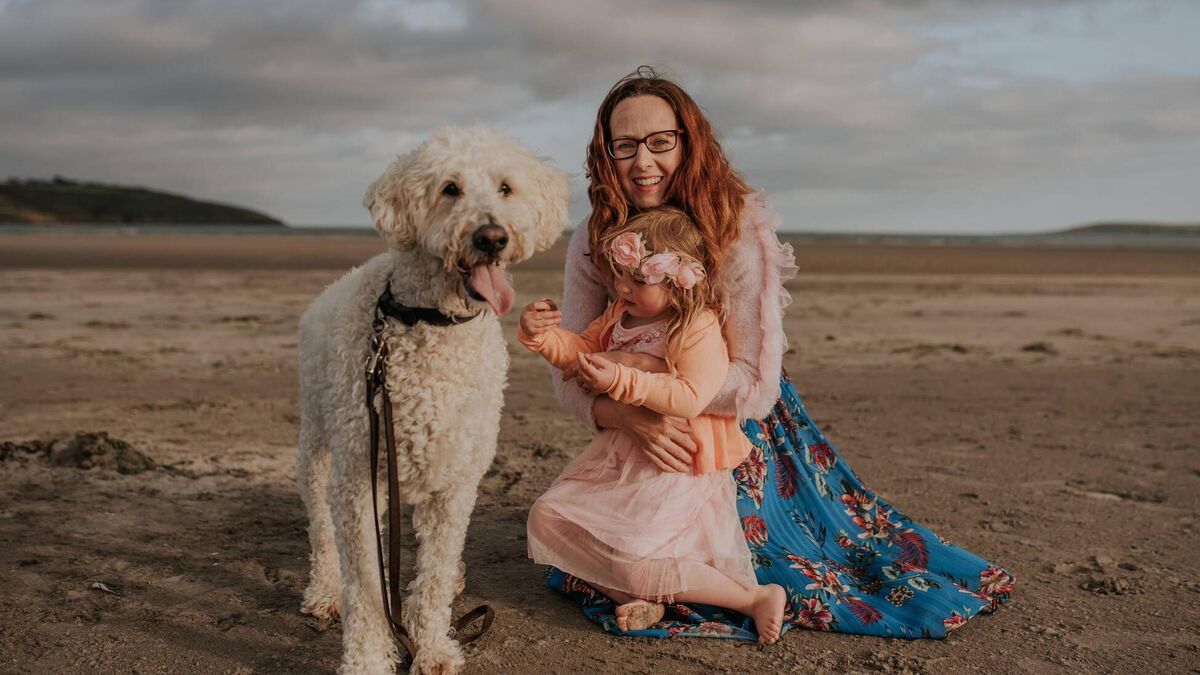 Retired Cork guide dog lighting the way for sustainable candles - Vimarsana News