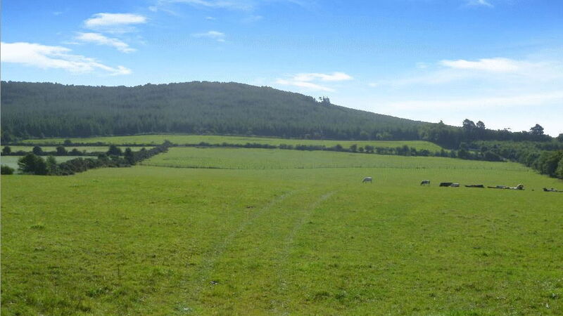 42-acre Wexford farm jumps 82% in price in eight years