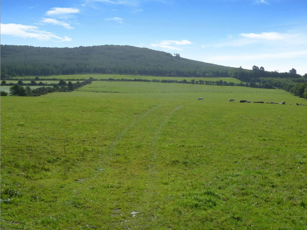 42-acre Wexford farm jumps 82% in price in eight years