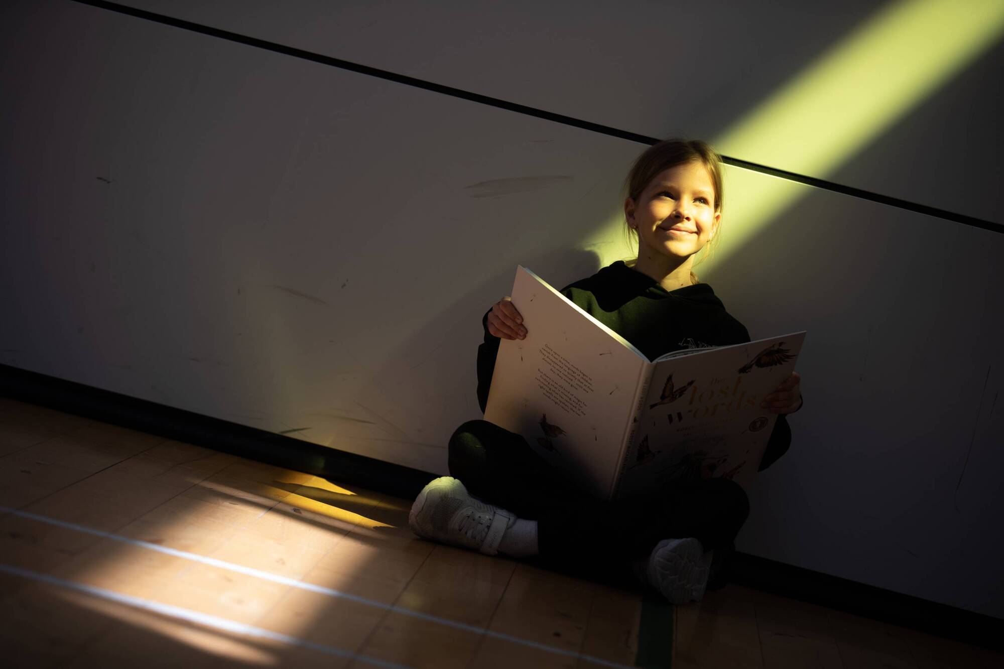 Irish Examiner view: Libraries remind us  that the best things in life are often free
