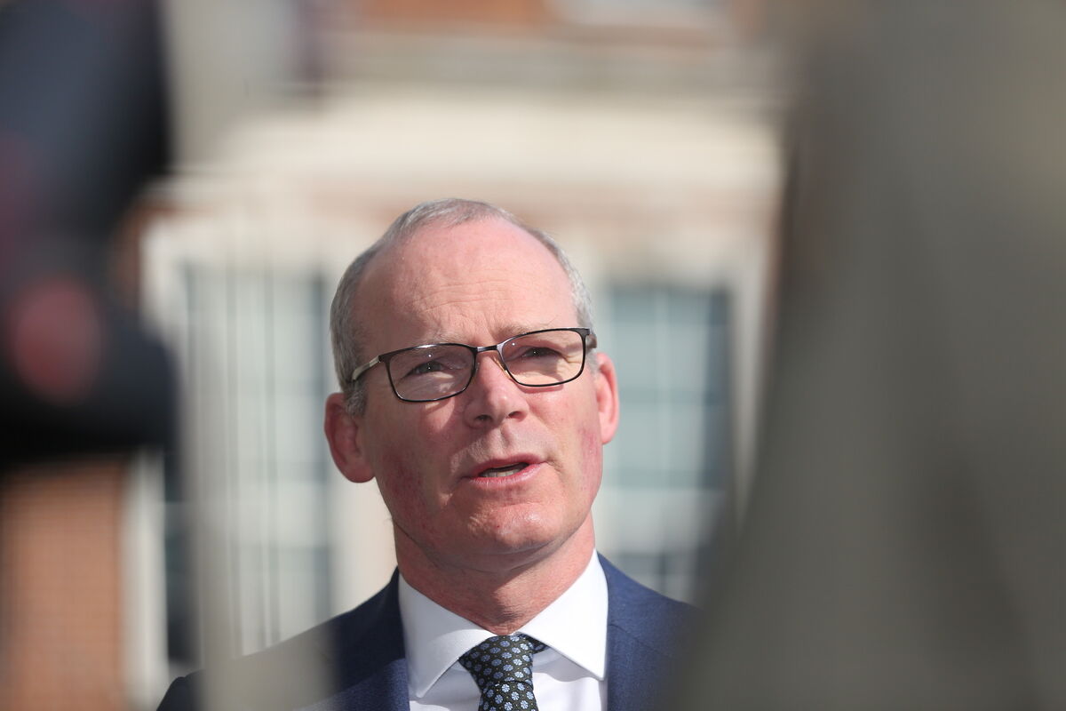 Minister for Foreign Affairs Simon Coveney. Picture: Gareth Chaney/Collins Photos