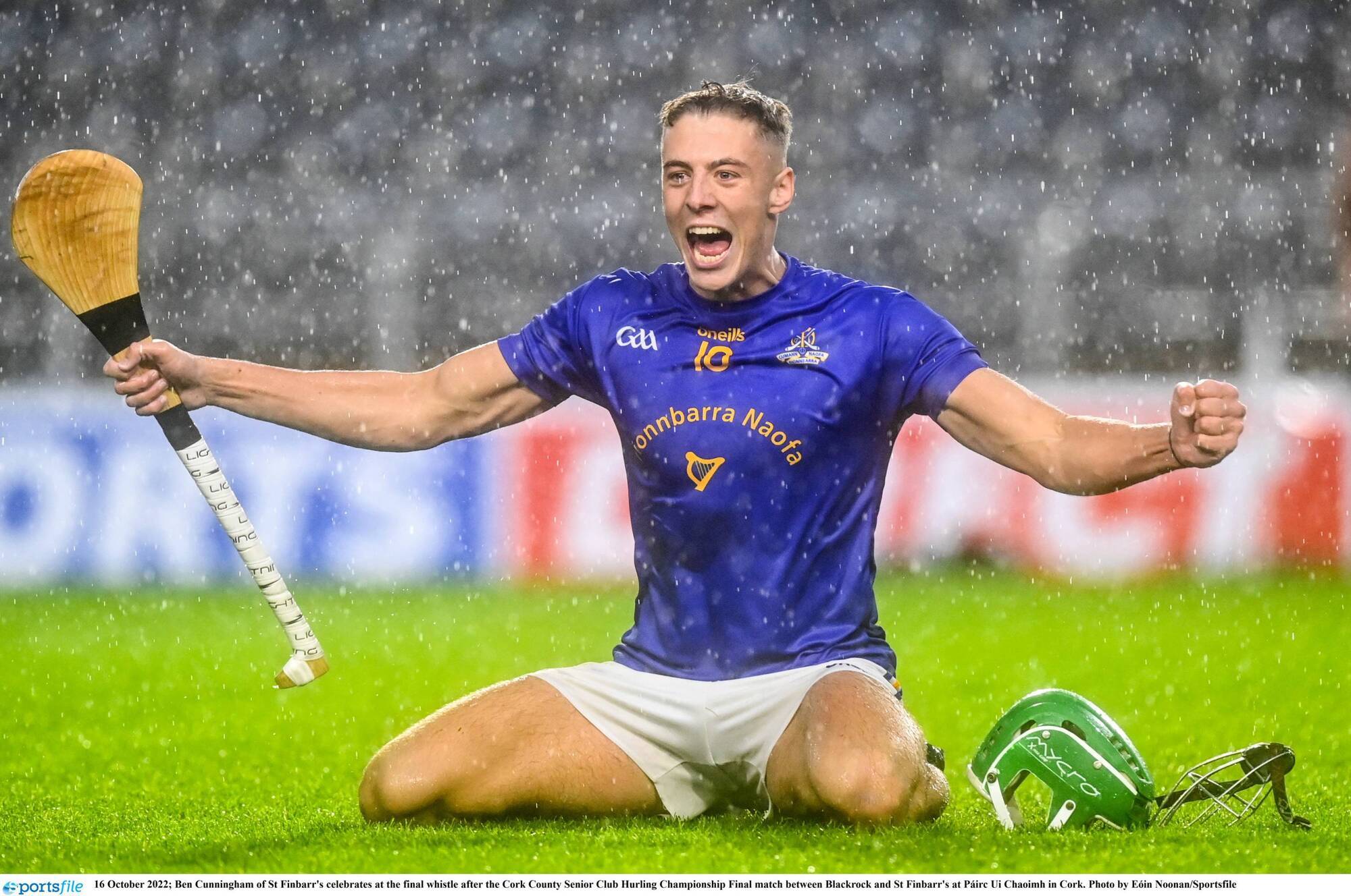 Barrs' history boys dominate Cork hurling team of the year