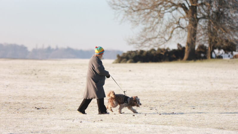 Temperatures plummet below -8C in 'coldest night so far'