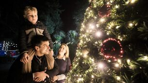 <p>Christmas in Killarney</p>