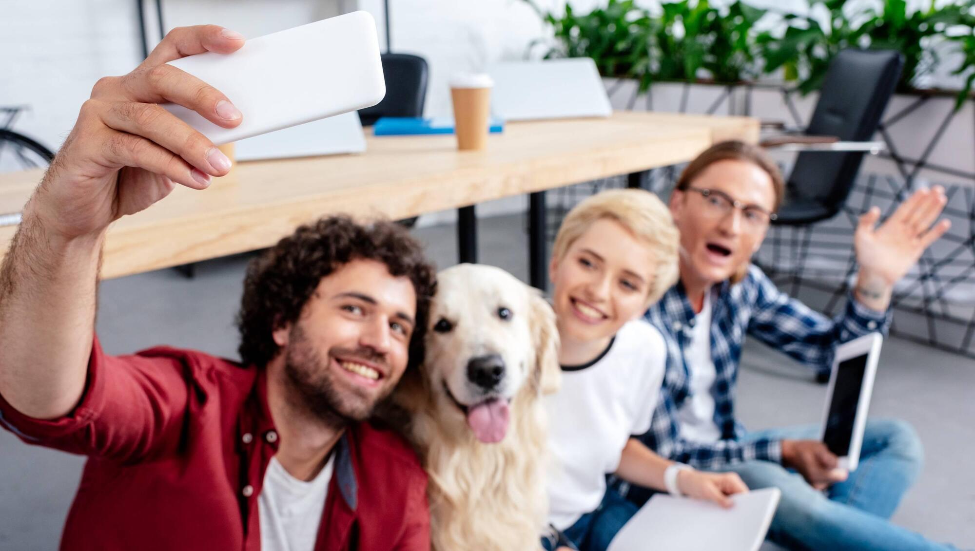 For and against bringing pets into workplace