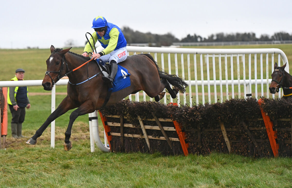 FINAL FURLONG: Liberty Dance and Davy Russell win the Billy Harney Memorial Irish EBF Mares Novice Hurdle. Picture: Healy Racing. FINAL FURLONG: Liberty Dance and Davy Russell win the Billy Harney Memorial Irish EBF Mares Novice Hurdle. Picture: Healy Racing.