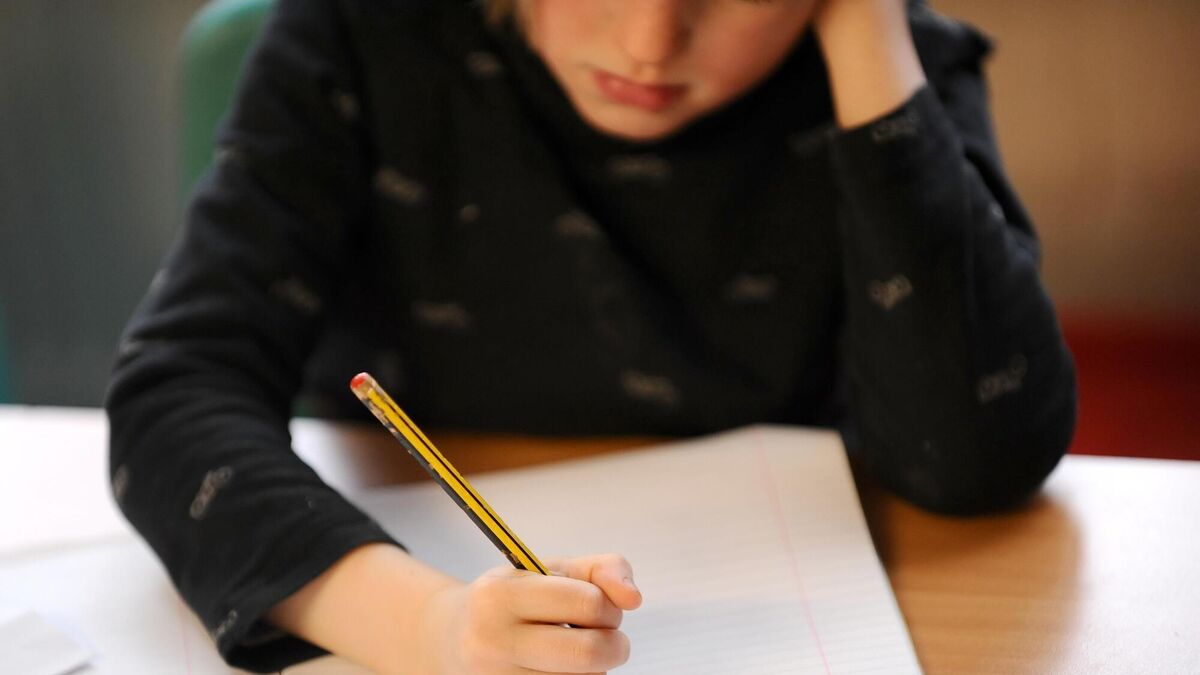 Children without an education 'might as well be weeds on the side of the road', judge warns mother - Vimarsana News