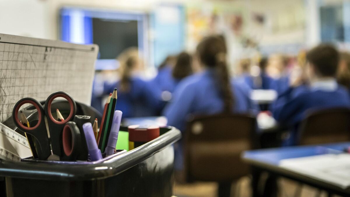 Cork schoolgirl is fourth child to die with Strep A infection - Vimarsana News