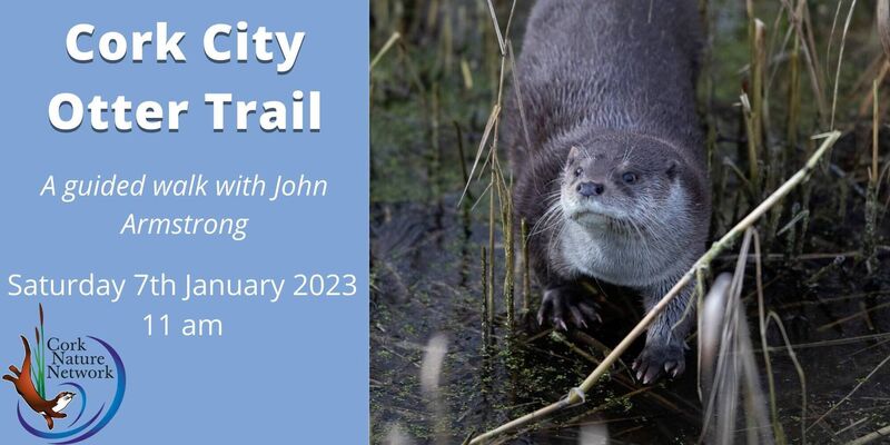 Cork City Otter Trail: A guided walk with John Armstrong. Saturday, January 7, 2023 at 11am. Cork Nature Network