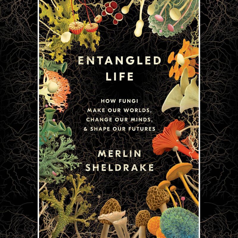 Entangled Life — How fungi make our worlds, change our minds, and shape our futures by Merlin Sheldrake