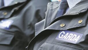 Munster based Garda whistleblower leaves force after corruption allegations
