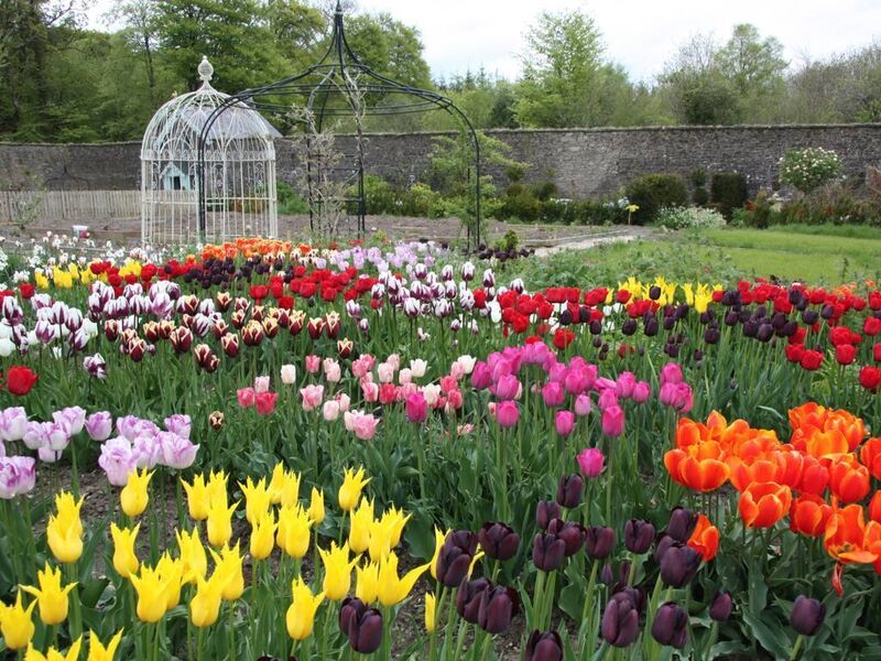 Dermot O'Neill purchased Clondeglass in 2000, but he eventually had to step back from his beloved garden as his illness progressed. 