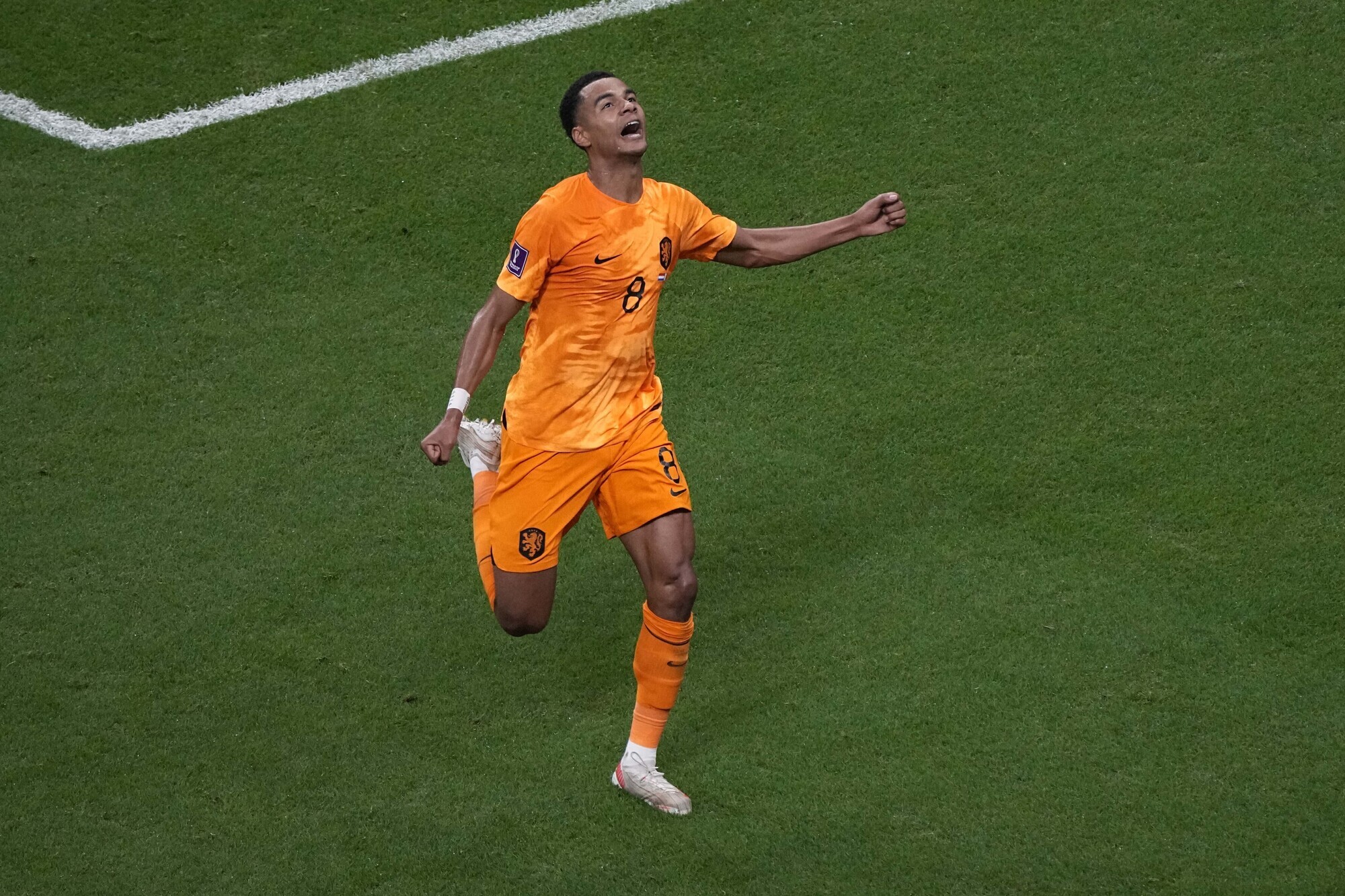 Cody Gakpo on way to Liverpool - PSV confirm club record fee