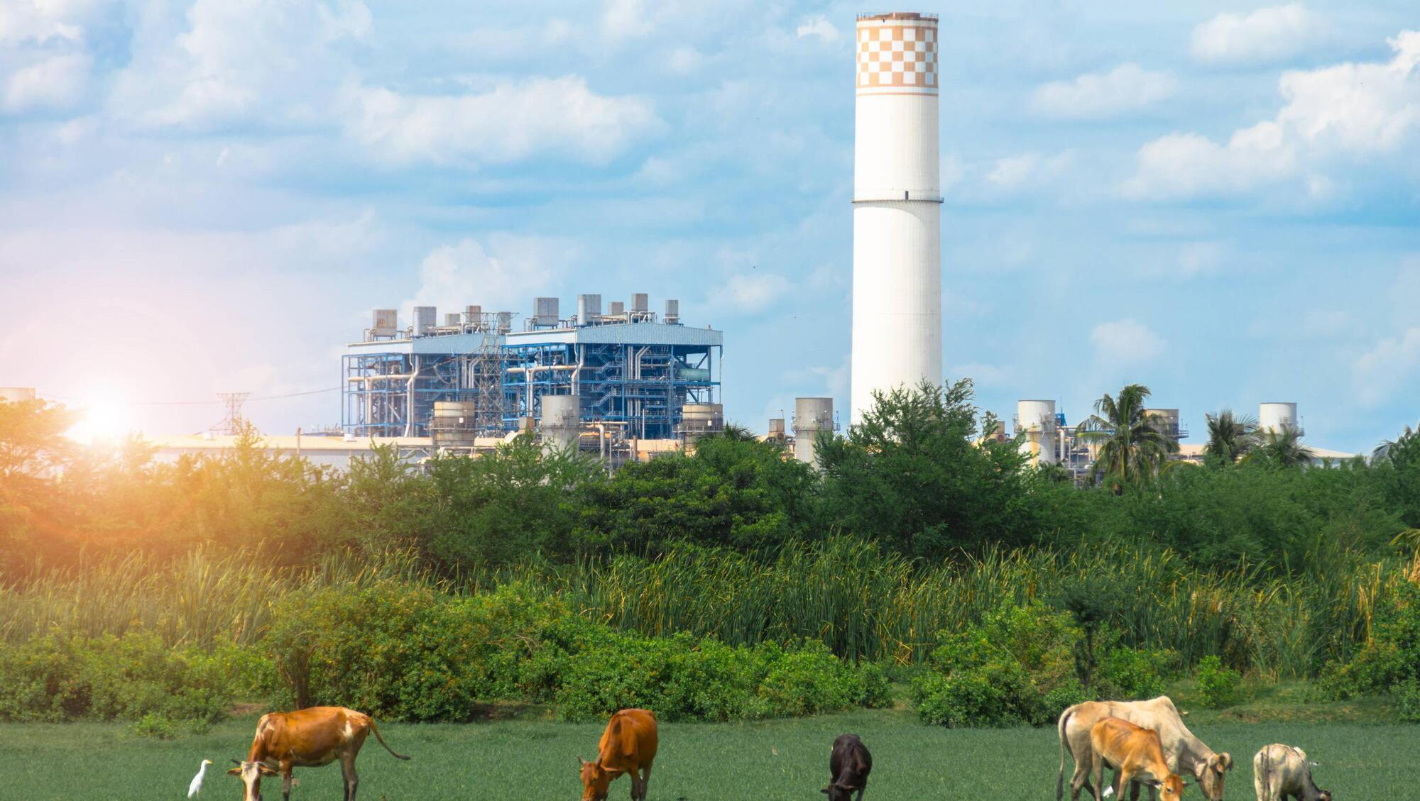 Are current climate emission reduction goals set too high?