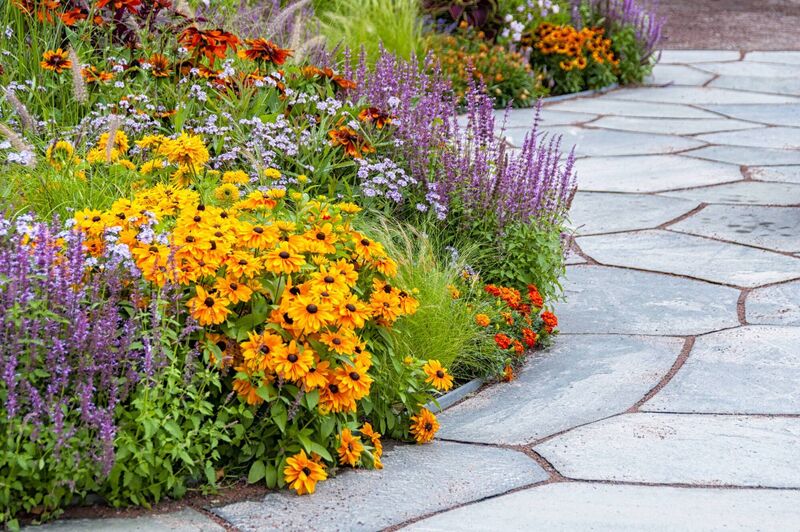 Gardeners may look for ways of minimising future watering Gardeners may look for ways of minimising future watering