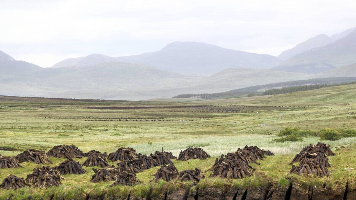 Carbon credits to rewet Ireland's bogs? - Vimarsana News