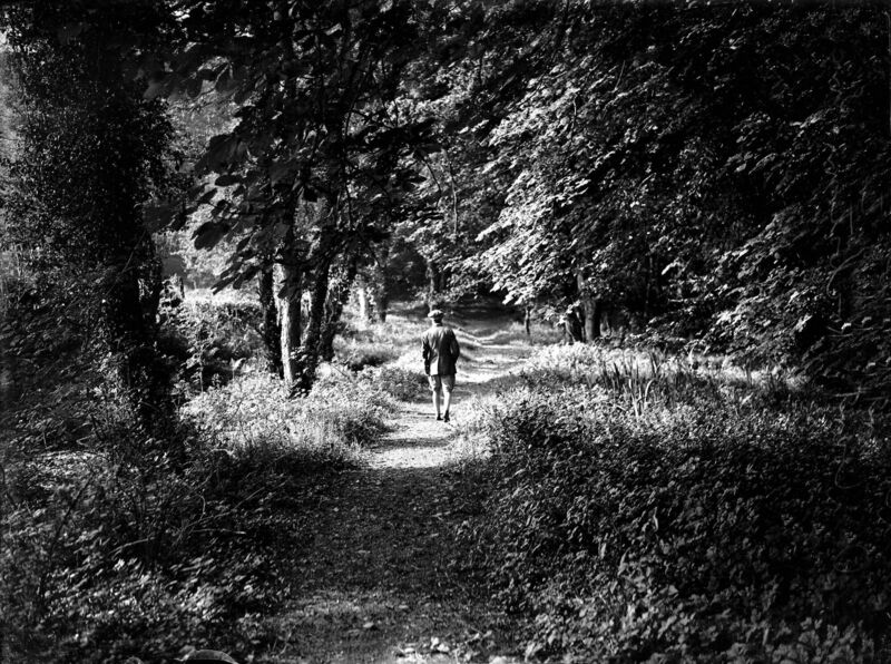 Old Court Woods, Rochestown, Co Cork where, on August 9, 1922, Free State troops fought a day-long Civil War battle with some 200 anti-Treaty 'Irregulars'.