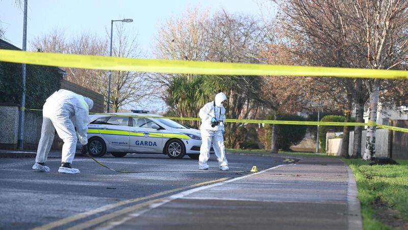 Garda forensics officers examine the scene on Thursday morning after a serious assault at Glenwood Grove, Carrigaline. Picture: Larry Cummins Garda forensics officers examine the scene on Thursday morning after a serious assault at Glenwood Grove, Carrigaline. Picture: Larry Cummins