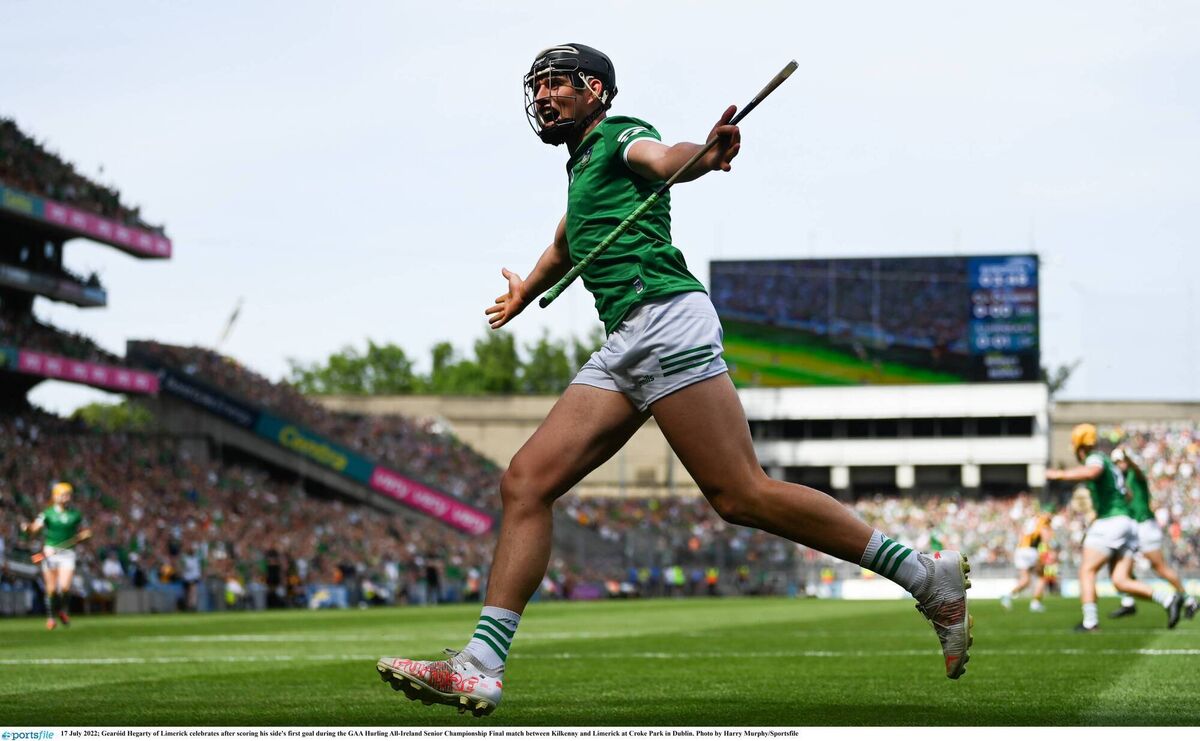 MAGIC MOMENT: Hegarty celebrates his opening goal in last July's All-Ireland SHC final win over Kilkenny. Pic: Harry Murphy, Sportsfile MAGIC MOMENT: Hegarty celebrates his opening goal in last July's All-Ireland SHC final win over Kilkenny. Pic: Harry Murphy, Sportsfile