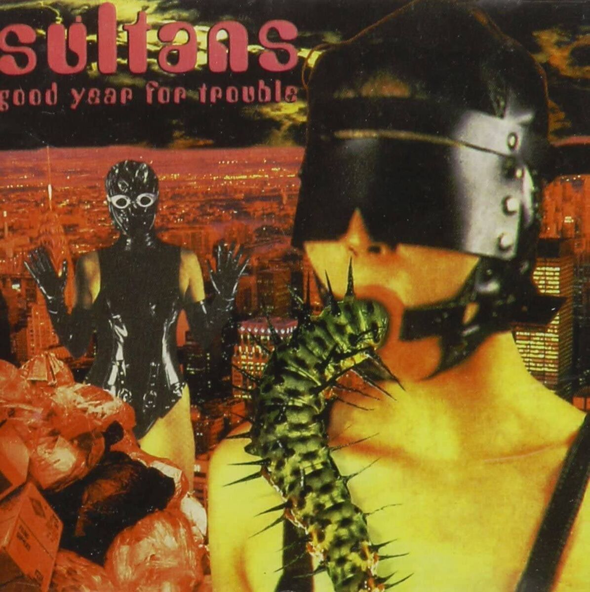 Good Year for Trouble, by the Sultans of Ping 