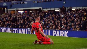 <p>COMFORTABLE IN HIS SURROUNDINGS: Brighton and Hove Albion's Evan Ferguson celebrates scoring against Everton. Pic: Peter Byrne/PA Wire</p>